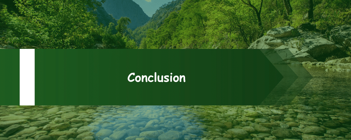 Conclusion